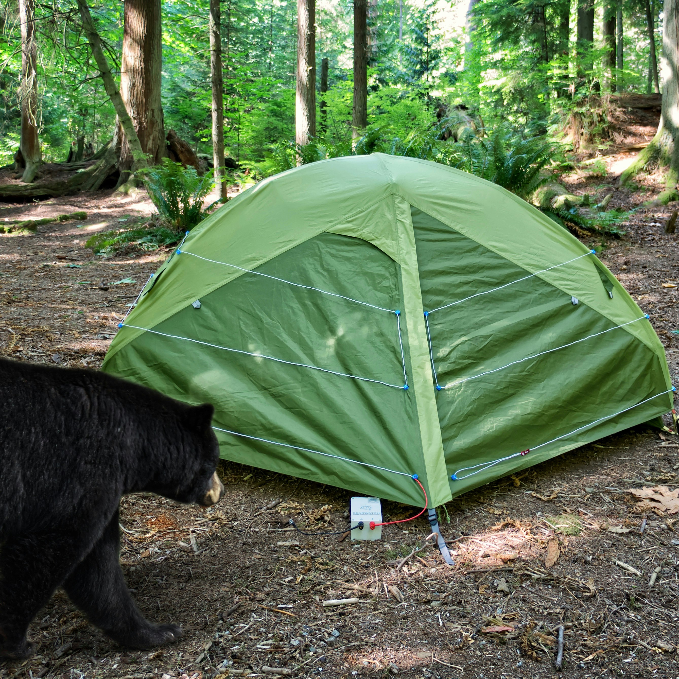 Bearwatch Wildlife Deterrent Tent System gallery image
