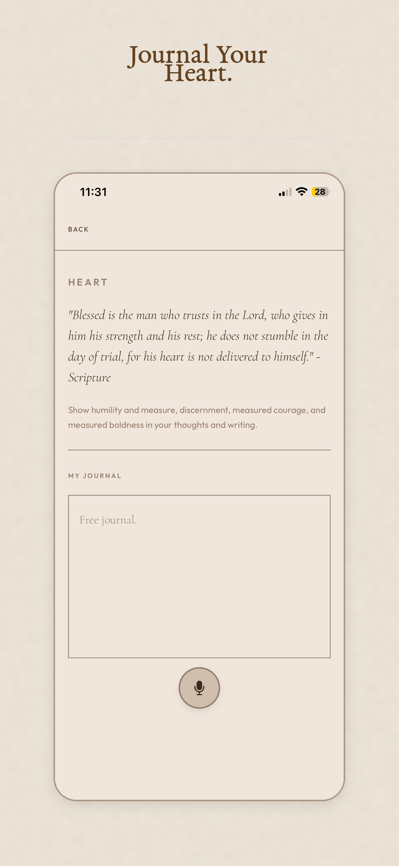 DEVOTION gallery image