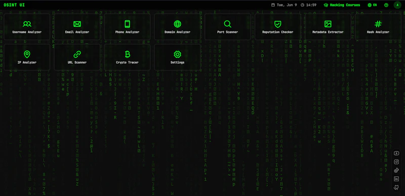 OSINT UI screenshot 2