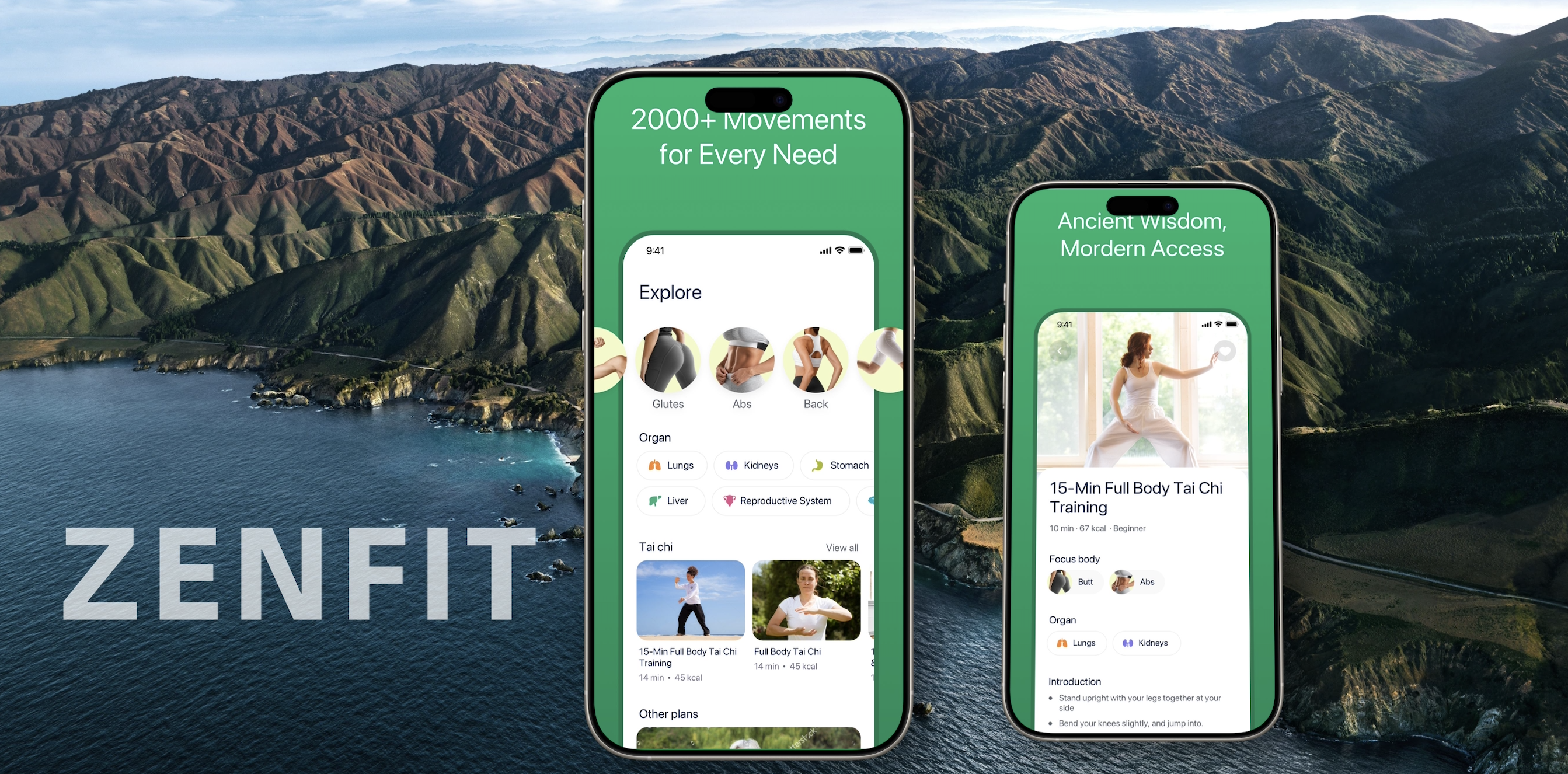 zenfit media 1