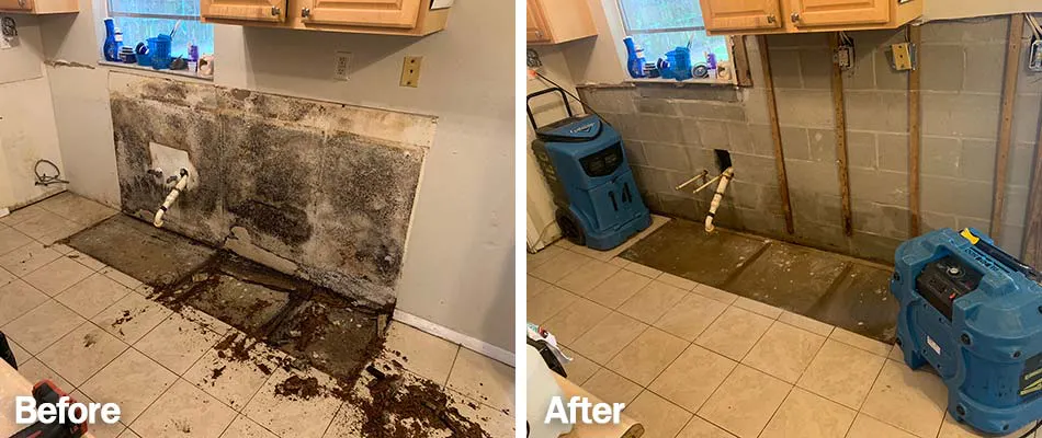 Water Damage Restoration Bothell gallery image