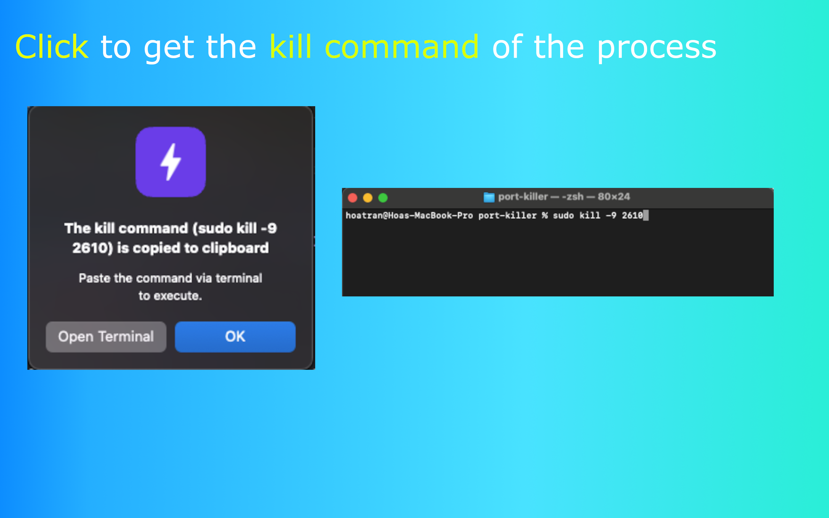 Port Killer gallery image