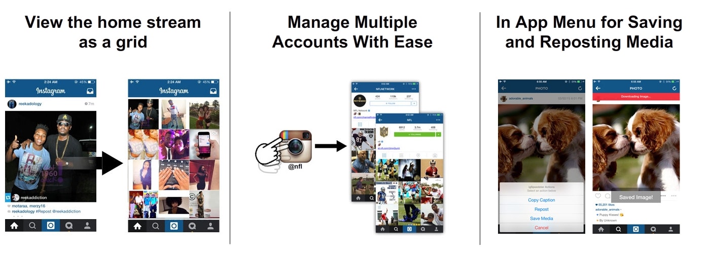 igSpeedster for Instagram