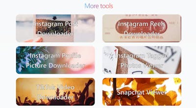 Insta Story Viewer PL gallery image