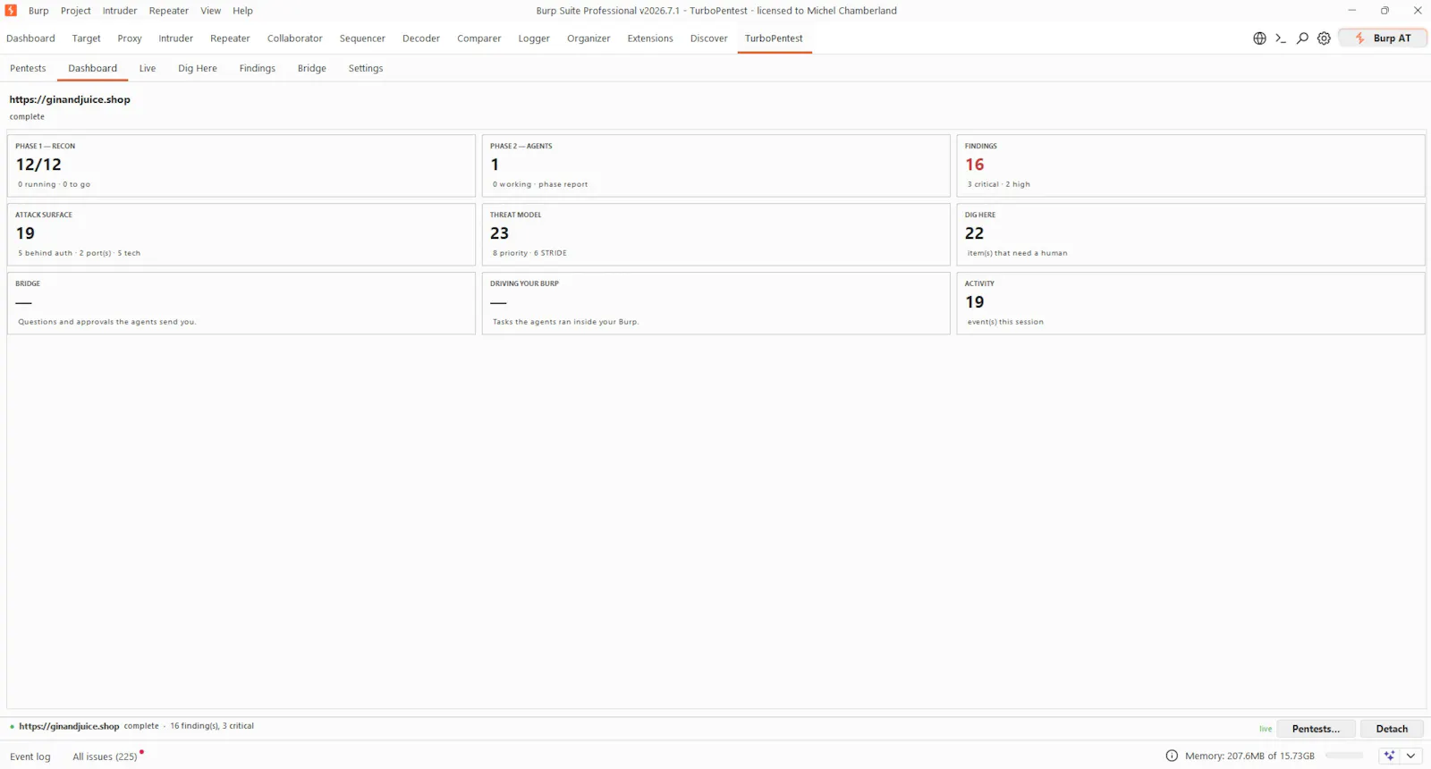 TurboPentest screenshot 13