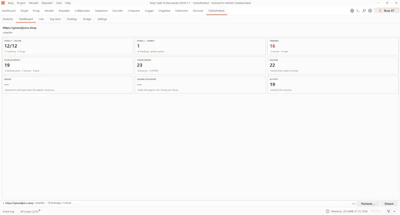 TurboPentest screenshot 13