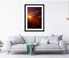 Pikcha gallery image