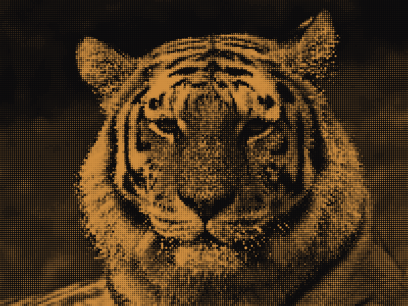 ASCIIfy - Screenshot 5 showing product features and functionality