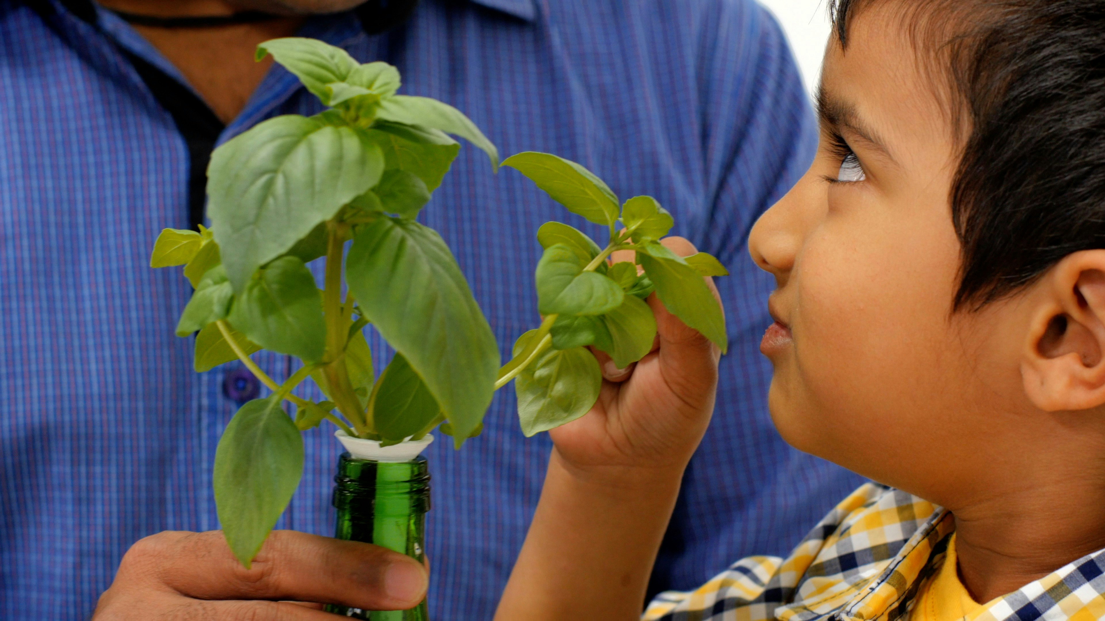 World's Smallest Garden gallery image