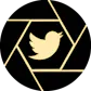 Capture My Tweet
