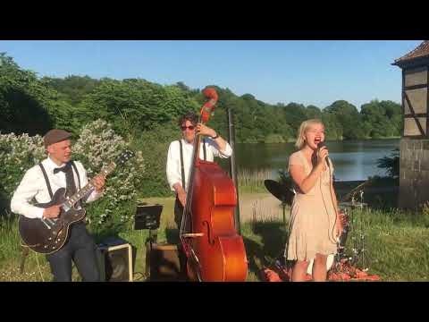 Limunt.com gallery image