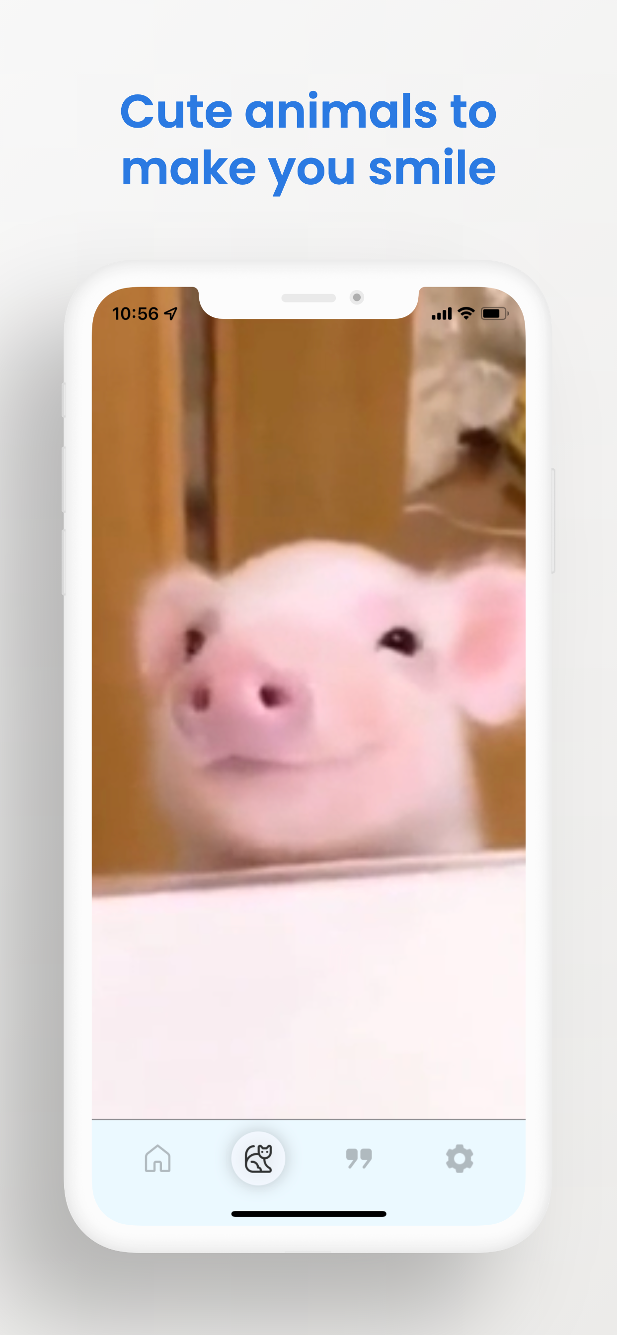 Lapis News gallery image