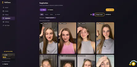 VidCloner gallery image