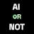 AI or Not