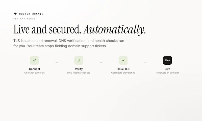 CUSTOM DOMAIN screenshot 3