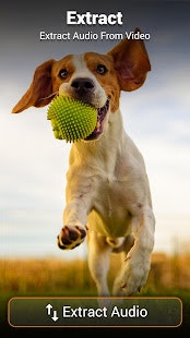 Video to Mp3 Audio Converter App gallery image