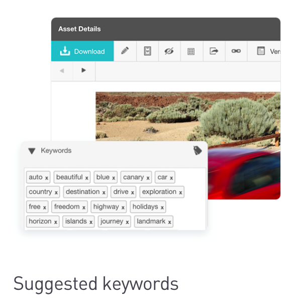 WebDAM gallery image