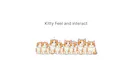 FinKitty