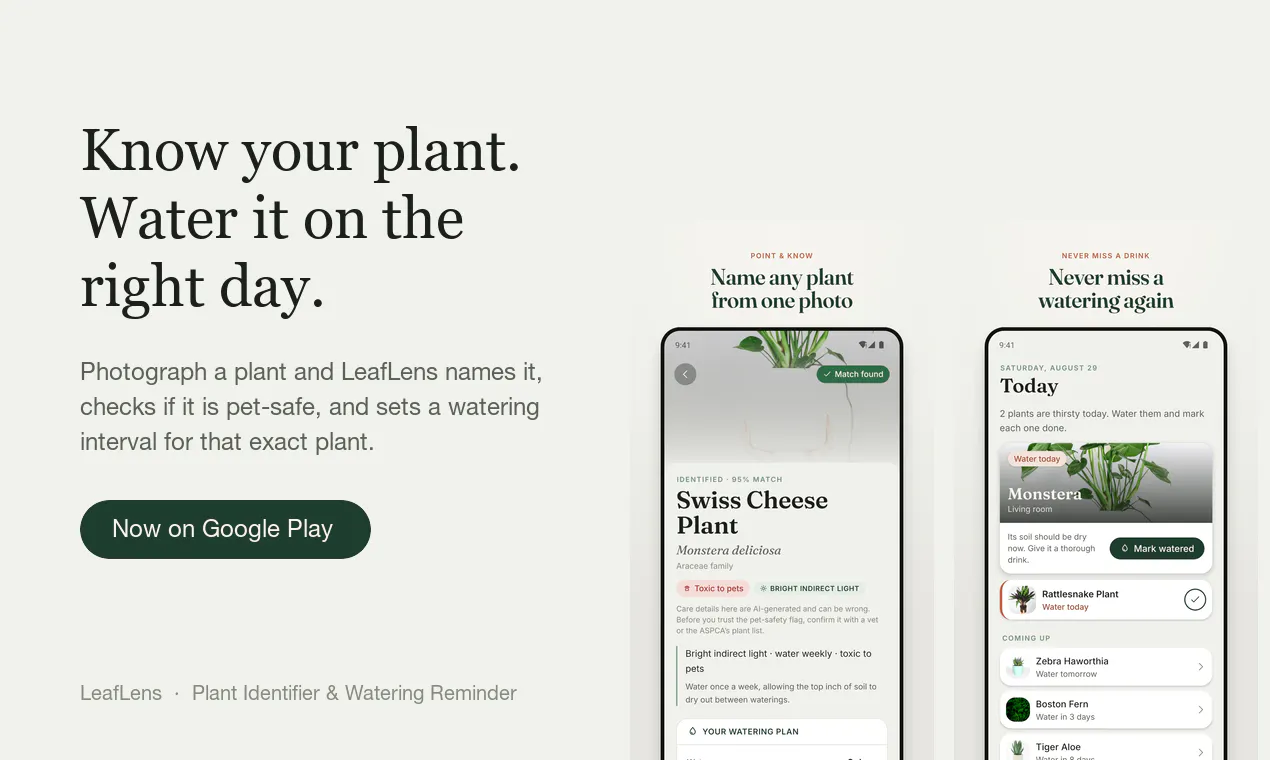 LeafLens for Android gallery image