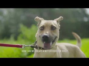 Rocketo 2.0 gallery image