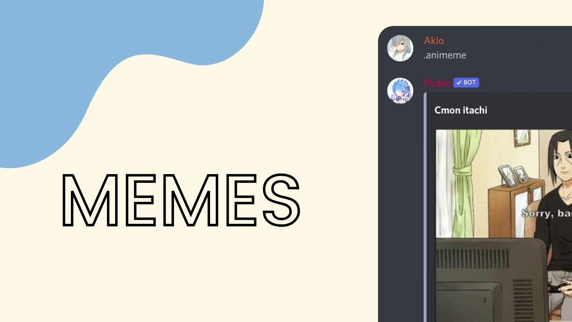 Plubin gallery image