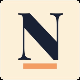 Nina AI logo