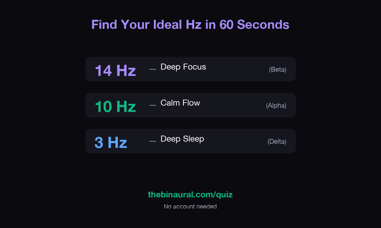 The Binaural gallery image
