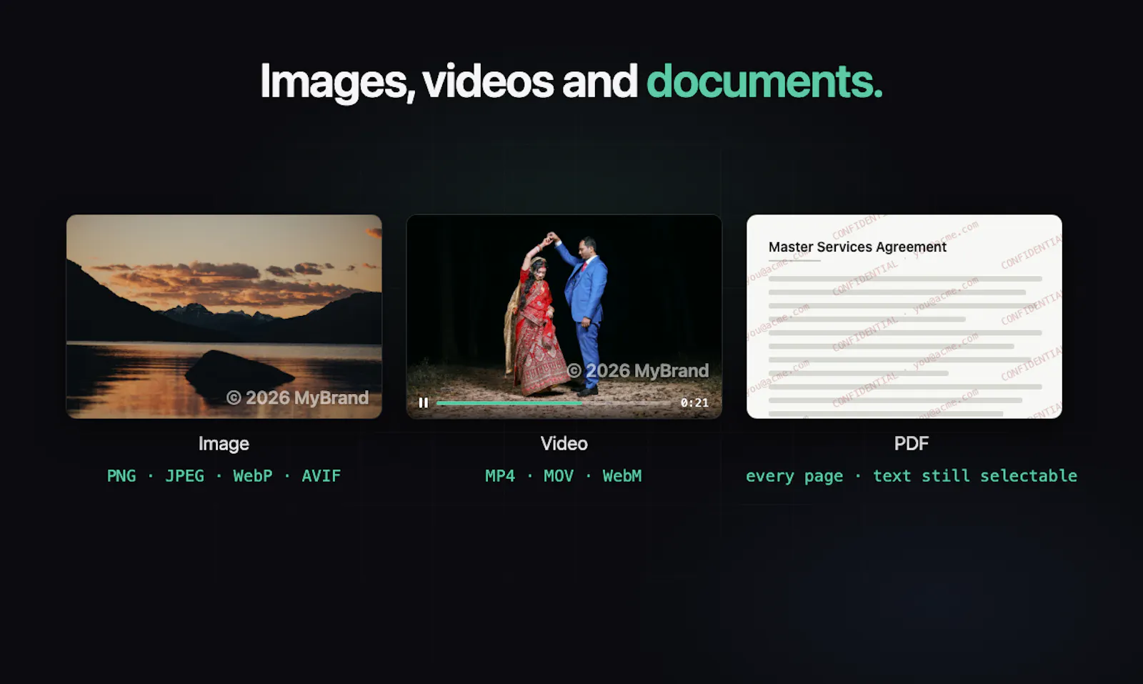 API Watermark screenshot 3