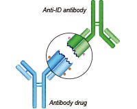 Anti-Idiotypic Antibody Services media 2