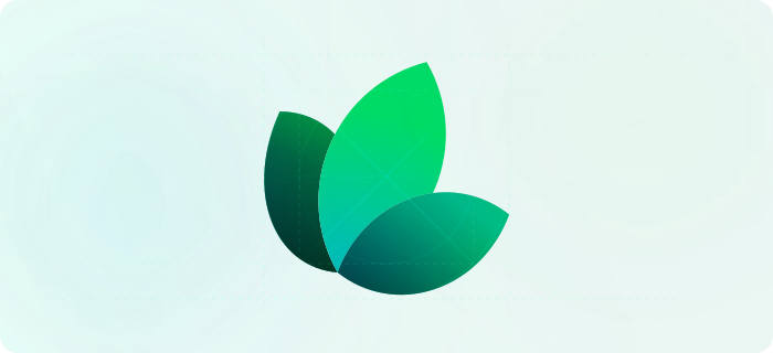 Developer Best Practices Guide