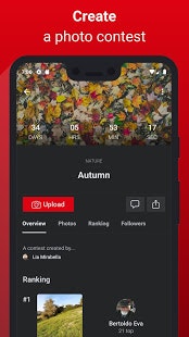 Shuttertop gallery image