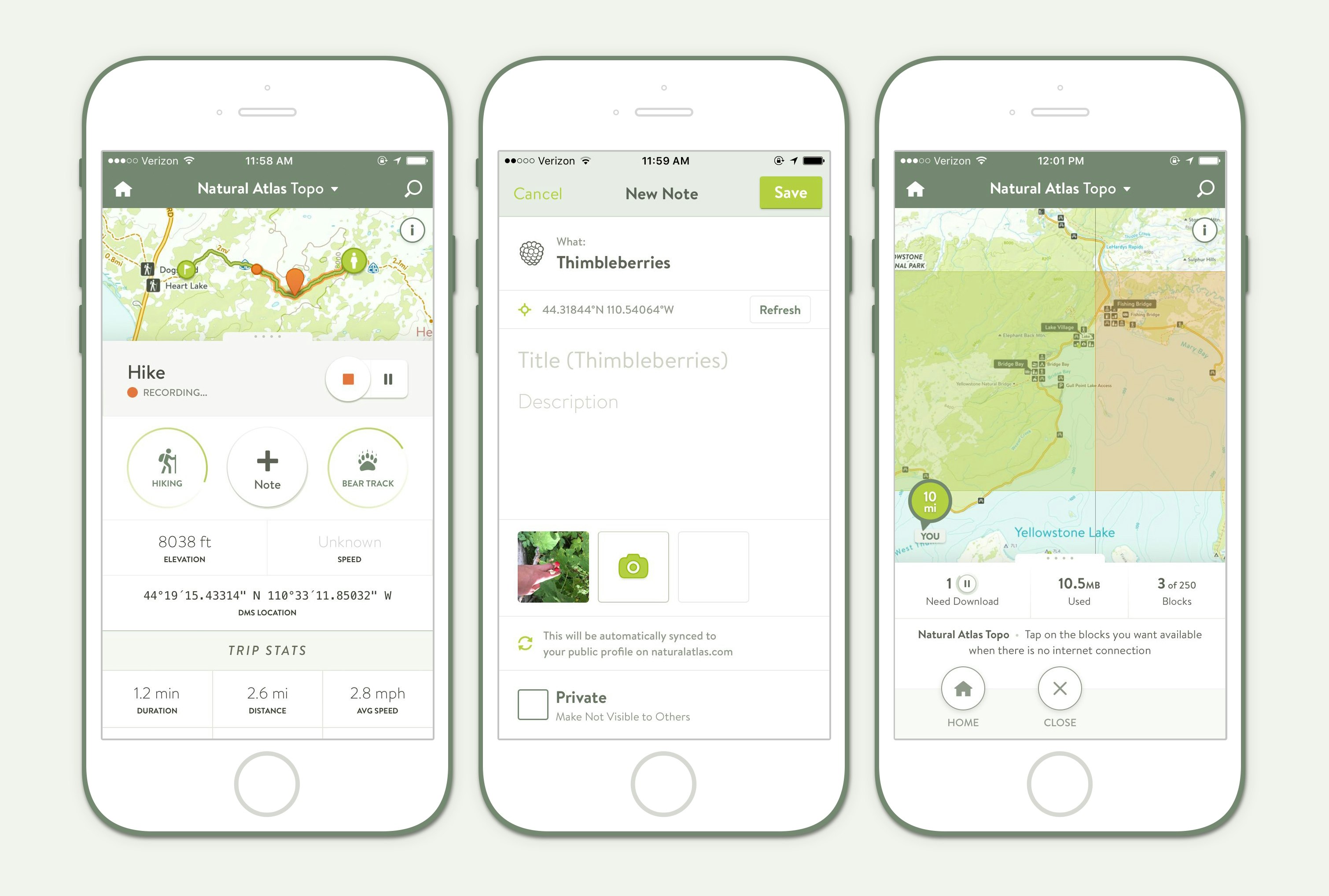 Natural Atlas gallery image