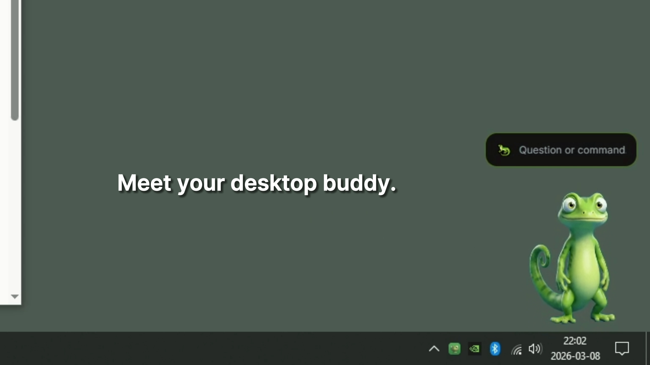 Skales gallery image