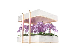 Aero gallery image
