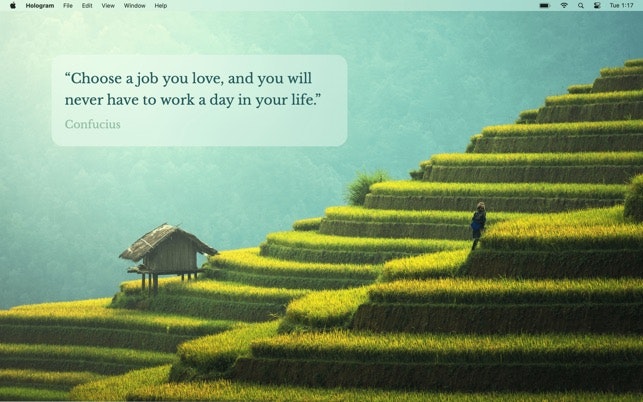 Hologram gallery image