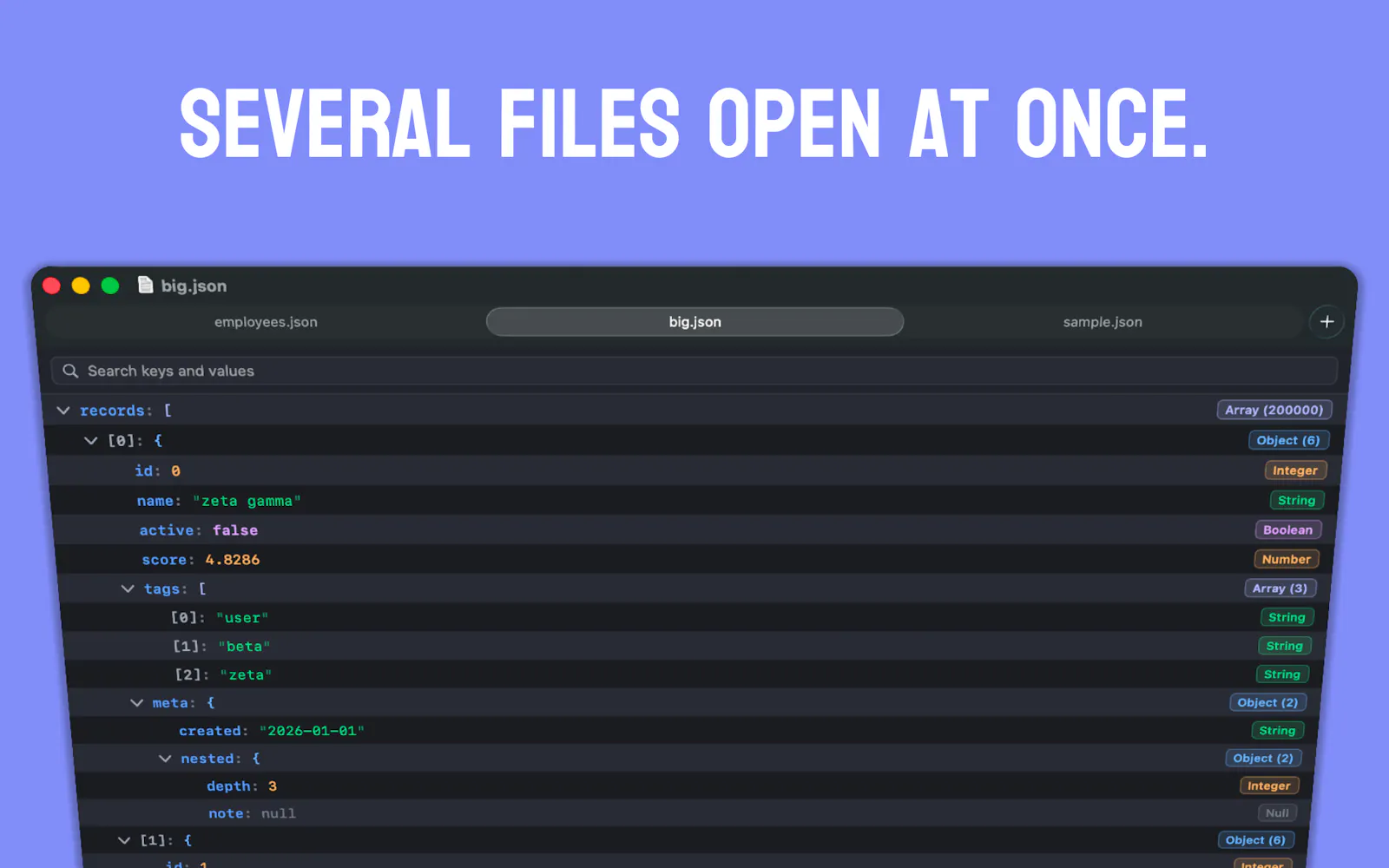 JSONaire screenshot 4