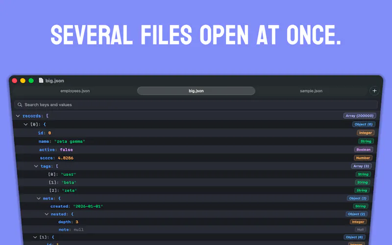 JSONaire screenshot 4