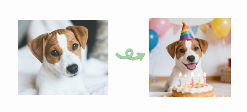 DogPhotoAI screenshot 4