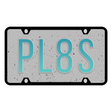PL8s gallery image