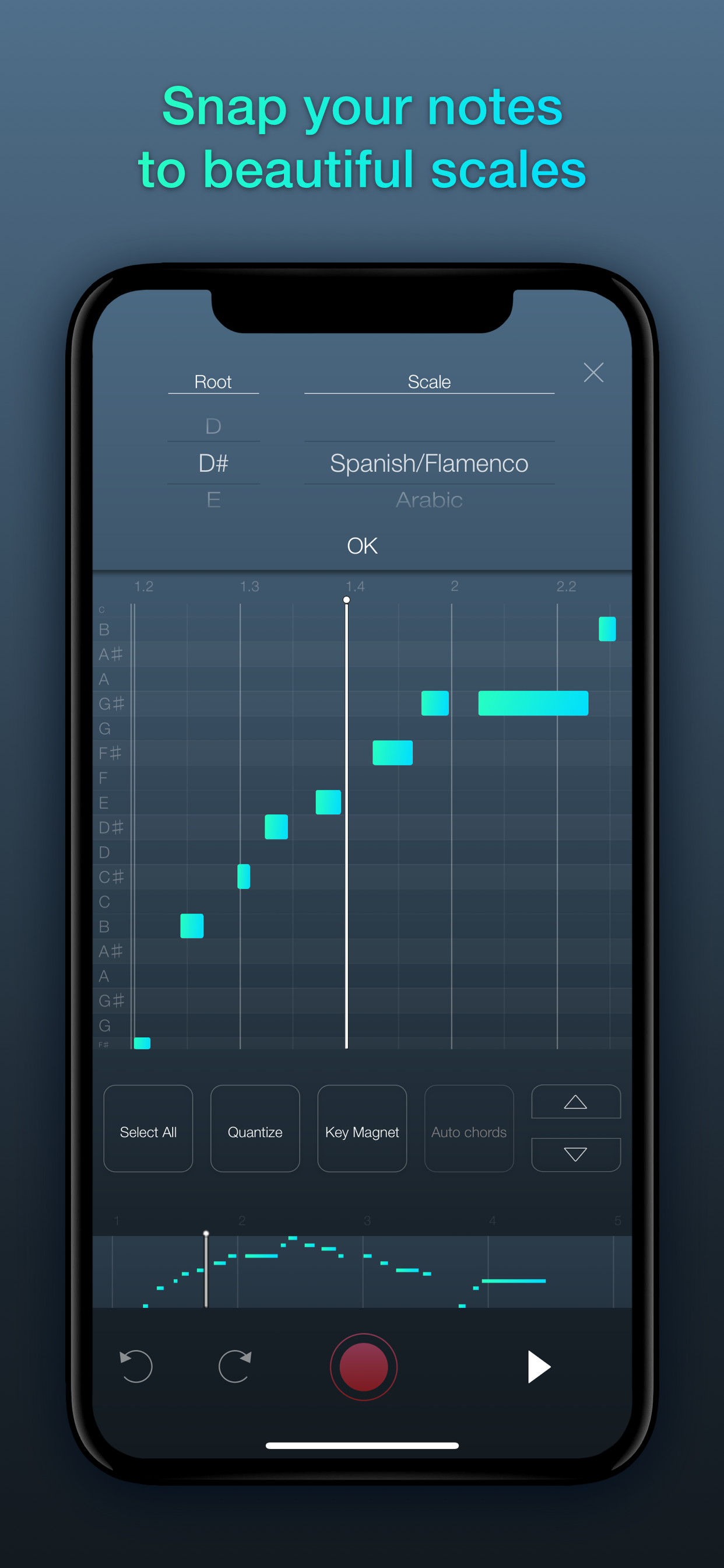 Symphonia gallery image