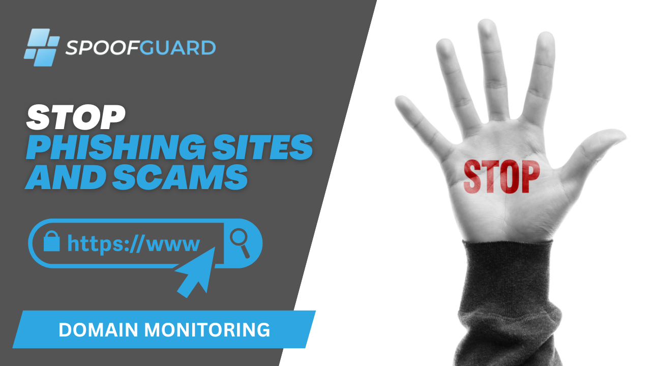 وسائط spoofguard - مراقبة المجال والأمن المضاد للصيد 2