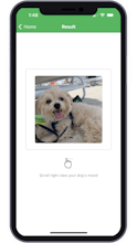 Pet Mood Detector: AI Analysis gallery image
