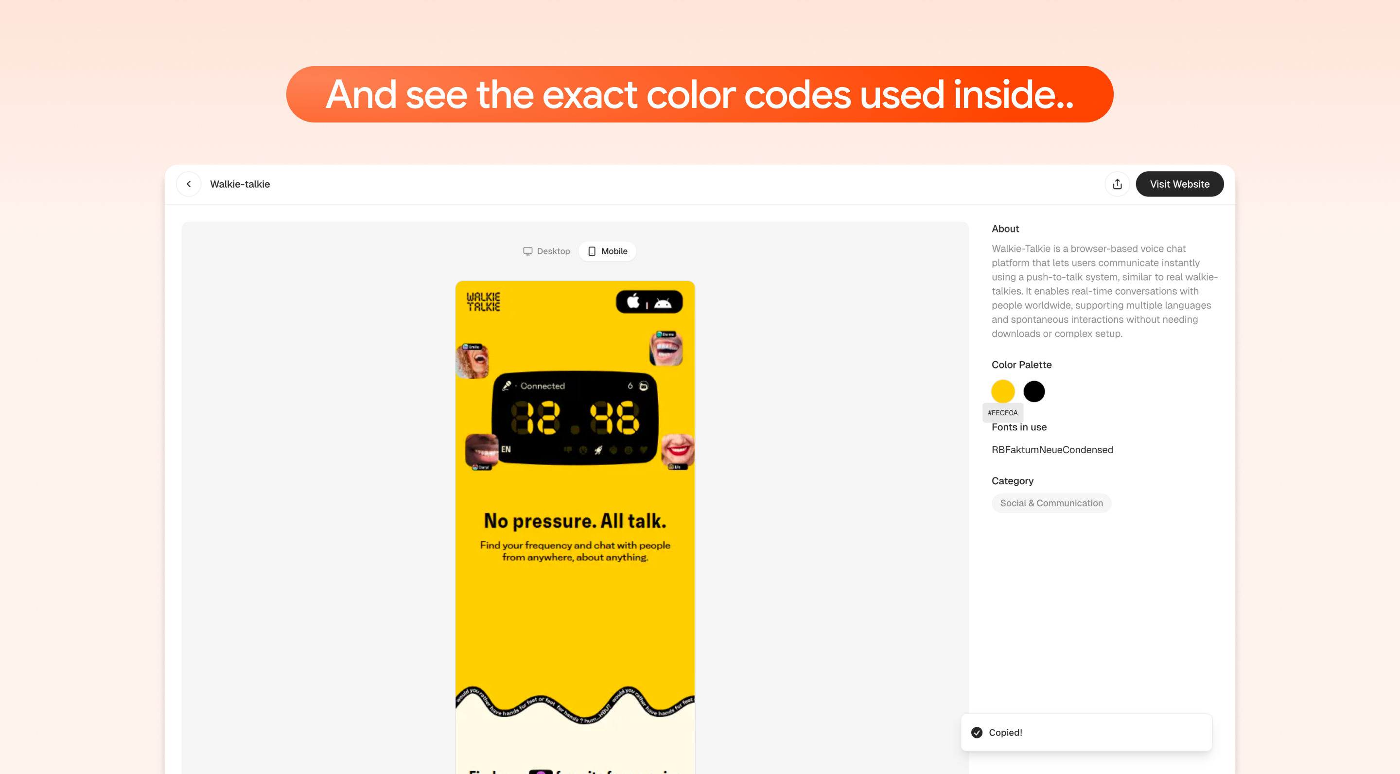Webzooo gallery image