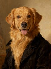 Petsy AI gallery image