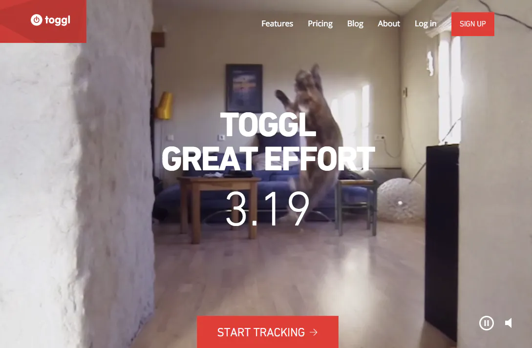 Toggl