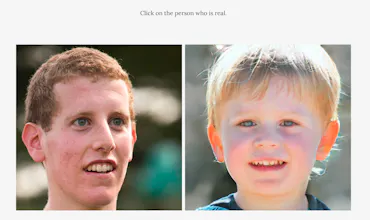 Which Face is Real? gallery image