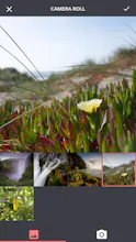 Lopic gallery image