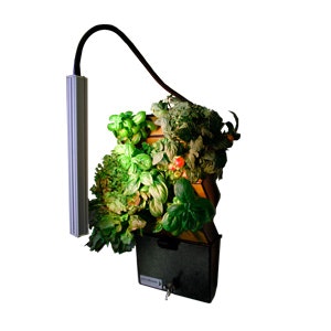 The VeggieWall gallery image