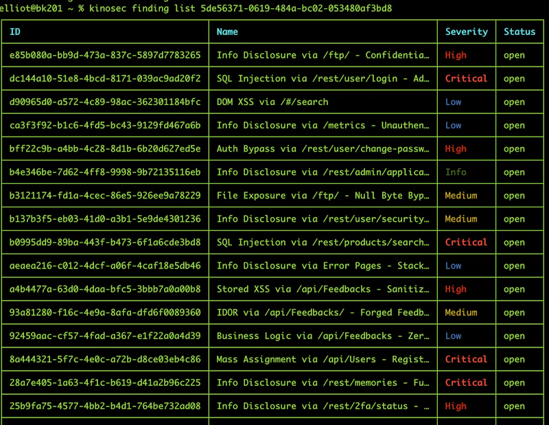 KinoSec CLI screenshot 4