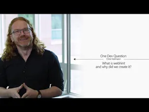 webhint gallery image